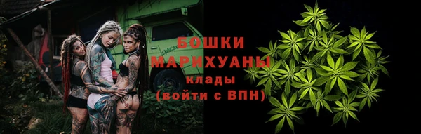 мяу мяу кристалл Бикин