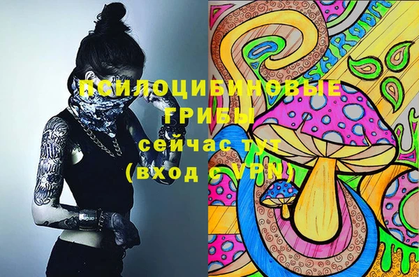 крисы Арсеньев